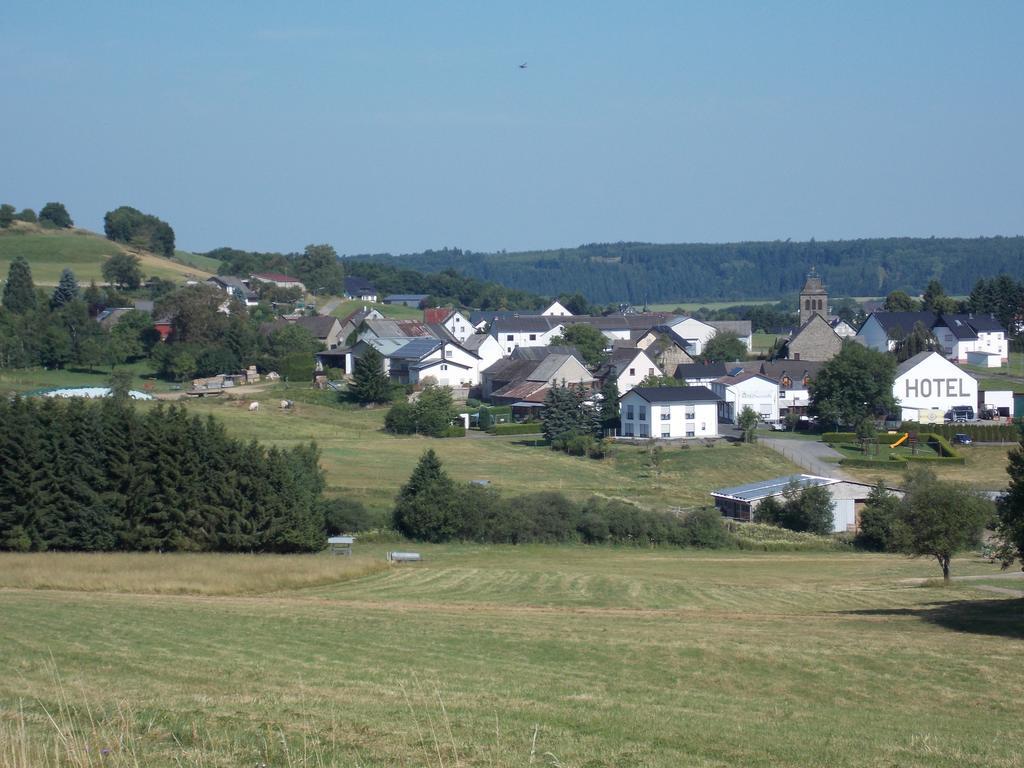 Ferienwohnung Inge Blum Müllenbach 外观 照片