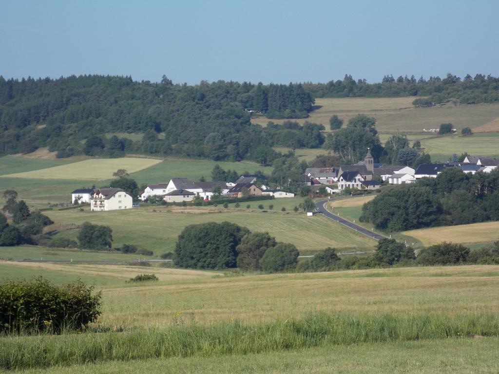 Ferienwohnung Inge Blum Müllenbach 外观 照片