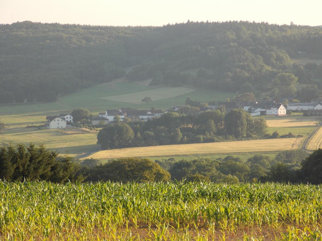 Ferienwohnung Inge Blum Müllenbach 外观 照片